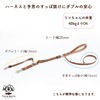 Wonder Fit Dog Leash Large Dog Leash Double Lead Prevents