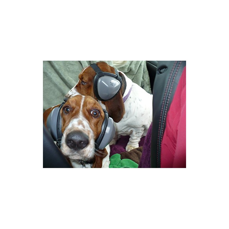 Mutt Muffs DDR337 Hearing Protection for Dogs, Black, Medium (Not