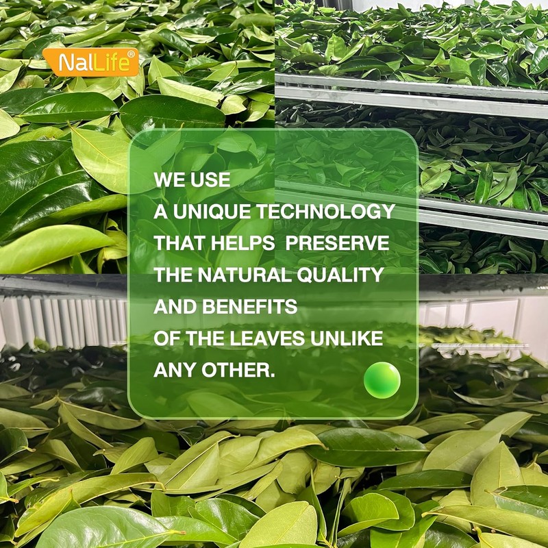NalLife Soursop Tea Bags 50 Count Tea from 100% Soursop
