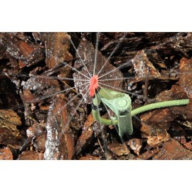 Mister Landscaper 360° Rose/90°/Center Strip
