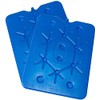 VIRSUS 2 x 400 ml Ice Packs for Containers and