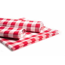 texpot Set of 4 Place Mats Size 33 x 45 cm Red/White 20 mm Chequered Place Mats Made of 100% Cotton in Country House Style