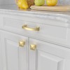 Amerdeco 10 Pack Brushed Gold 3 Inch(76mm) Hole Centers Kitchen
