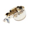 Novelty Salmon Fish Hair Clip (Yellow Pufferfish)
