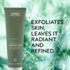 Aveda Botanical Kinetics Radiant Skin Refiner | Clay-Based Facial Scrub