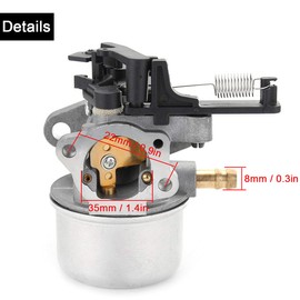 ZAMDOE 591137 590948 Carburetor for Briggs & Stratton 111P02 114P02 11P902 121Q02 121Q07 121S02 121S07 121S75 124Q02 Pressure Washer 775EX TB360 Lawn Mower, with 795066 Air Filter