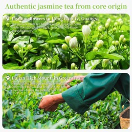 XIXICHA Jasmine Tea New Chinese Jasmine Green Tea Loose Leaf Chinese Tea Natural Aroma Seven Times Scenting 150g/5.3oz 茉莉花茶 茶叶 绿茶