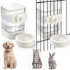 Singhoow 2 Pack 54 oz Rabbit Water Dispenser, Hanging Gravity