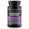 Albahaca Sagrada | Suplemento Alimenticio de Origen Natural | Apoyo