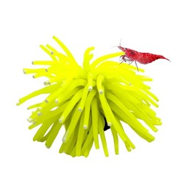 CTWPets Fluorescent Aquarium Decor – Glowing Fish Tank Ornament for Freshwater & Saltwater | Safe for Betta, Shrimp, & Tropical Fish | Includes Collector Card (Yellow, Small)