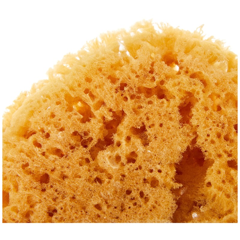 Croll and Denecke P180 Natural Sponge from the Mittelmeer, Premium Quality,