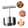 FELTECHELECTR Pear Apple Core Remover Stainless Steel Fruit Corer Tool