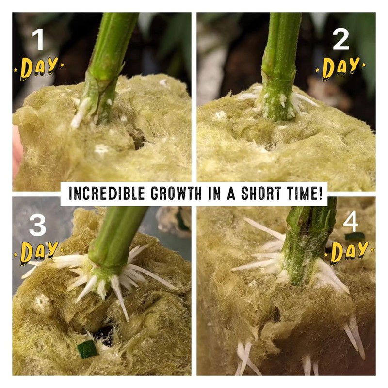 Green Rush Nutrients Root Rush Rooting Powder for Cuttings &