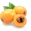 Chandelier Craft & Gardening Loquat Seeds Japanese Chinese Plum Eriobotrya