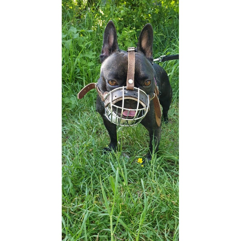 L&J Pets Uk Metal Basket Muzzle for French Bulldog |