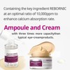 Calcium Ampoule & Face Cream Set | Korean Hydrating Skincare