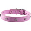 OmniPet Collar de Piel para Perro con Adornos de Hueso,