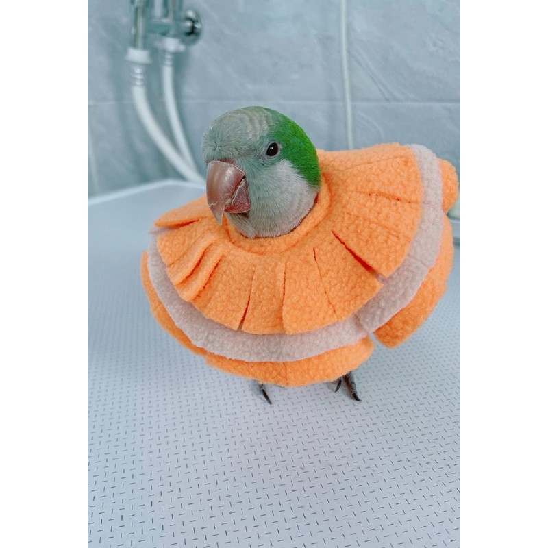 RRRIOT Adjustable Parrot Cone Collar, Safe and Practical Cotton Collar