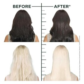 Champú Garnier Fructis Hair Filler Con Vitamina Cg Para Cabe