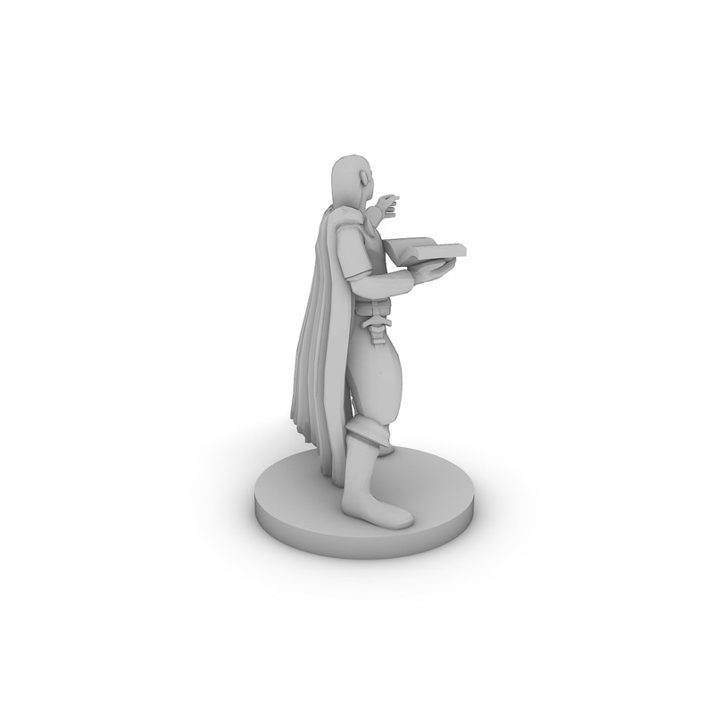 Half Elf Wizard Tabletop DND Gaming Miniature