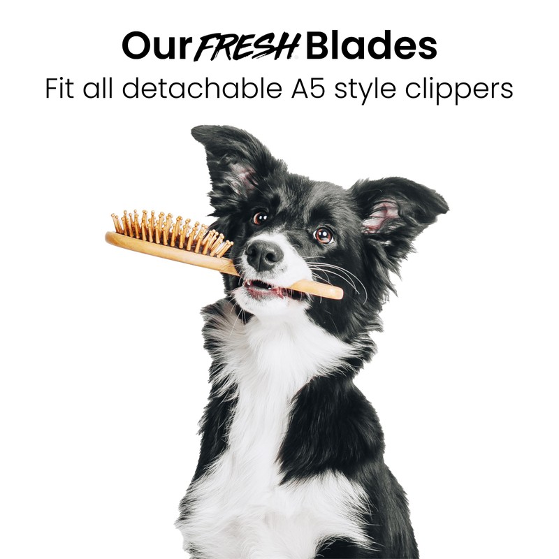 Fresh 9S Blade for Dog Grooming
