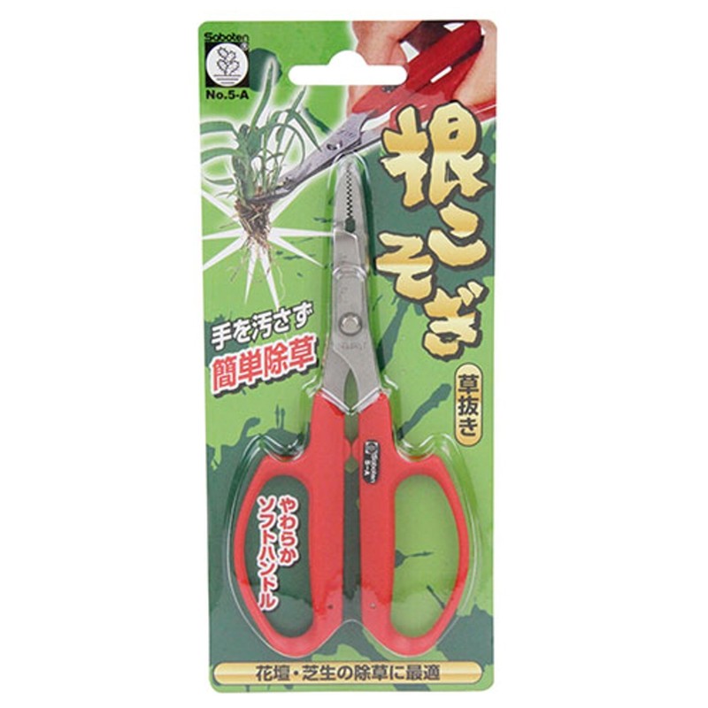 Cactus No.5-A Without grass roots