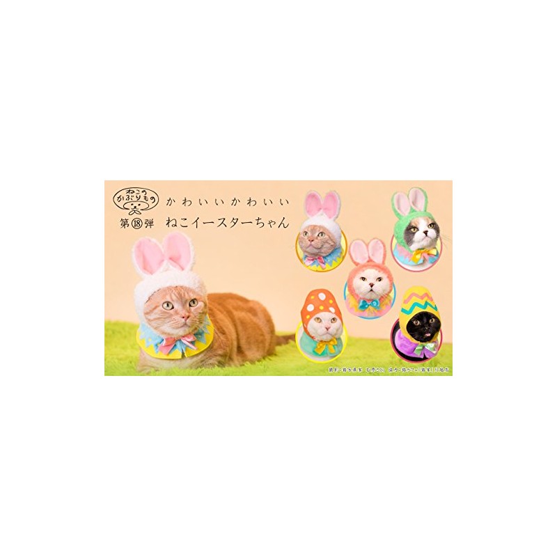 Cat Headpiece, Vol. 18, Cute Cat Easter, Set of 5