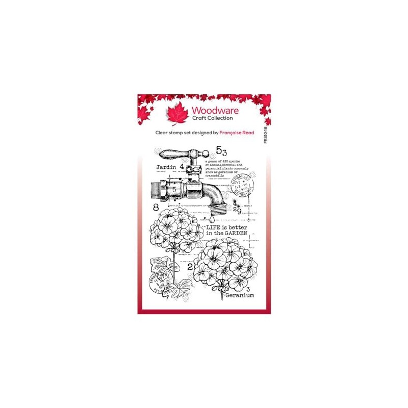 Woodware FRS1048 Bastelstempel, Photopolymer, farblos, 4 x 6 in