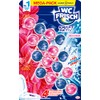 WC FRISCH Kraft Aktiv Duftspüler Blüten-Frische (2 x 200 g)