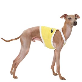 D Doggy Star Italian Greyhound Clothes Summer Cooling String Sleeveless Crop Top T Shirt Whippet for Dog (S,Camisole Yellow)