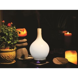 GOODVAC Essential Oil Diffuser Ultrasonic Aromatherapy Humidifier 300ml Cool Mist Scent Dispenser for Home or Office