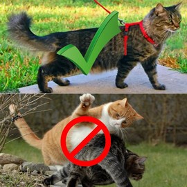 Cat Harness with Lead, Escape Proof, Adjustable Cat Lead with Harness for Cats, Nylon Cat Lead, Cat Harness Kitten for Small Cats and Dogs