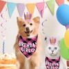 Persoshow Dog Birthday Party Supplies,Dog Birthday Party Hat Bandana with