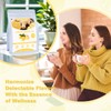 TEARELAE - Lemon Ginger Tea Bags, 70 Count - Natural