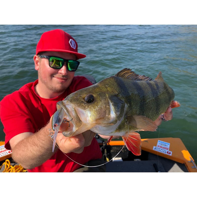 Rapala - Shadow Rap Jack Deep Fishing Lure - Fishing