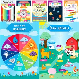 Youngever 13 Pack Laminated Educational Preschool Posters for Toddlers and Ki...