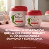 TEATRICAL - Crema Facial Antiarrugas. Con células madre de té