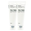 Apieu Nanko Tea Tree Foam 130ml+130ml / 어퓨 난코 티트리