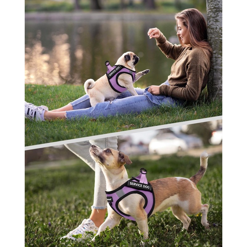 FAYOGOO Service Dog Vest for Small Breed - Lightweight Dog