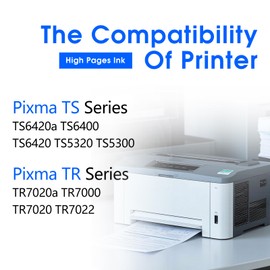 260XL Ink Cartridge Combo Pack Compatible for Canon PG-260 Black Ink Cartridge 260XL High Yield for Canon Pixma TS6420a TS6420 TS6400 TR7020 TR7020a TTR7022 TR7022a TS5300 TS5320 Printer (2 Black)