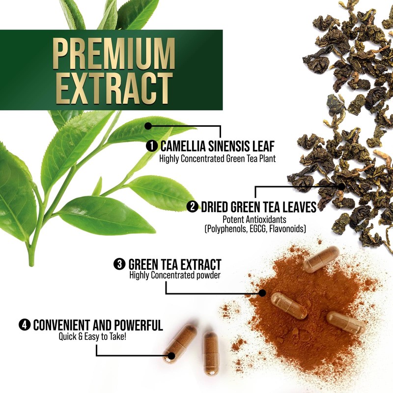 Green Tea Extract Capsules - 3X Strength Green Tea Extract