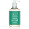 Deep Steep Liquid Hand Wash, 17.6 Ounces (Tea Tree Mint)