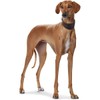 hunter Super Soft Dog Collar, Softvoll Leather