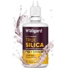 Silicium Supplement, Wellgard True Silica – Stabilised Silicon with Choline