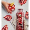 Heaven & Earth 100% Pure Organic Pomegranate Juice 11.15oz (6