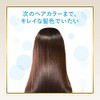 Hoyu Bigen Color Treatment NBR (Natural Brown) 180g