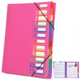 Document Folder A4, Portable Expanding Folder with 12 Compartments, with Labels, A4 Project Folder, with Elastic Band, Waterproof, for Desk Organisation and Storage of Project Documents, Pink Red