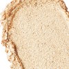 SISTER ANN Double Effect Waterproof Eye Pencil (Renewal) - 05