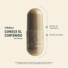 LIFE 360 Probióticos 60 Billones 4 Cepas 240 cápsulas 540mg