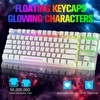 Wireless Gaming Keyboard and Mouse Combo with 87 Key Rainbow